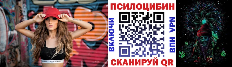 Псилоцибиновые грибы MAGIC MUSHROOMS  гидра сайт  Новотитаровская  где найти наркотики 